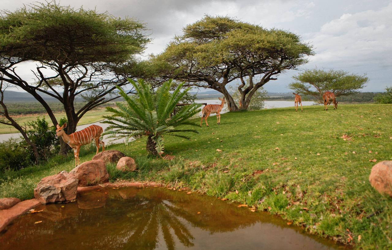 Nkwazi Lake Lodge Pongola Luaran gambar